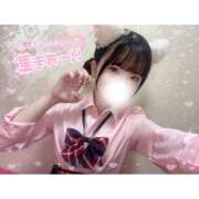 ヒメ日記 2025/06/26 11:38 投稿 なの 萌えコス