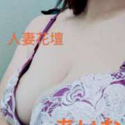 ヒメ日記 2024/12/17 17:10 投稿 あいな 千葉人妻花壇