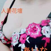 ヒメ日記 2025/01/21 16:49 投稿 あいな 千葉人妻花壇