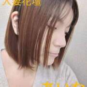 ヒメ日記 2025/01/23 14:31 投稿 あいな 千葉人妻花壇