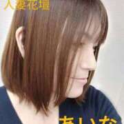 ヒメ日記 2025/03/15 11:45 投稿 あいな 千葉人妻花壇