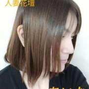 ヒメ日記 2025/03/29 11:39 投稿 あいな 千葉人妻花壇