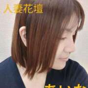 ヒメ日記 2025/05/14 14:31 投稿 あいな 千葉人妻花壇