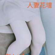 ヒメ日記 2025/10/31 02:06 投稿 あいな 千葉人妻花壇