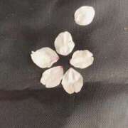 あいな 出勤日変更のお知らせ 千葉人妻花壇