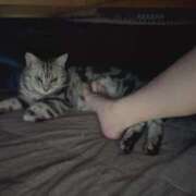 ヒメ日記 2025/11/18 13:57 投稿 おとは 梅田アバンチュール