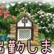 ヒメ日記 2024/10/03 09:14 投稿 あんず 埼玉本庄ちゃんこ