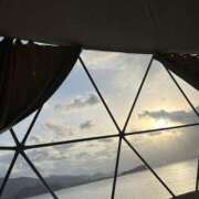 ヒメ日記 2025/06/21 21:06 投稿 れむ Picasso(ピカソ)