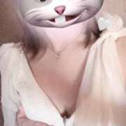 ヒメ日記 2025/07/17 12:27 投稿 れむ Picasso(ピカソ)