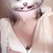 ヒメ日記 2025/07/19 17:17 投稿 れむ Picasso(ピカソ)