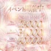 ヒメ日記 2026/02/15 13:53 投稿 れむ 熊本ピカソ