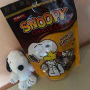 ヒメ日記 2026/03/04 13:43 投稿 れむ 熊本ピカソ