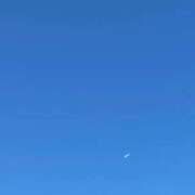 ヒメ日記 2024/12/20 08:33 投稿 湧井ゆかり プレジデントハウス