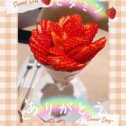 ヒメ日記 2025/02/08 16:19 投稿 湧井ゆかり プレジデントハウス