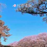 ヒメ日記 2025/02/26 08:26 投稿 湧井ゆかり プレジデントハウス