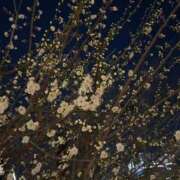 ヒメ日記 2025/02/27 07:34 投稿 湧井ゆかり プレジデントハウス