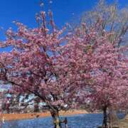 ヒメ日記 2025/03/07 11:00 投稿 湧井ゆかり プレジデントハウス