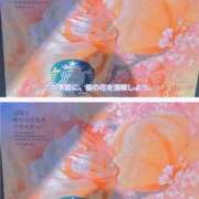 ヒメ日記 2025/03/09 16:06 投稿 湧井ゆかり プレジデントハウス