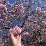 ヒメ日記 2025/03/20 17:59 投稿 湧井ゆかり プレジデントハウス