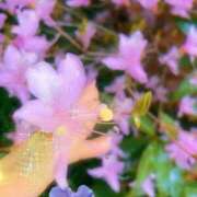 ヒメ日記 2025/04/04 11:55 投稿 湧井ゆかり プレジデントハウス