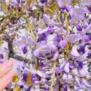 ヒメ日記 2025/04/17 22:03 投稿 湧井ゆかり プレジデントハウス