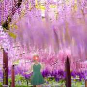 ヒメ日記 2025/05/04 22:49 投稿 湧井ゆかり プレジデントハウス