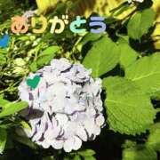 ヒメ日記 2025/06/15 07:07 投稿 湧井ゆかり プレジデントハウス