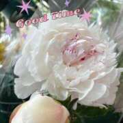 ヒメ日記 2025/06/18 09:14 投稿 湧井ゆかり プレジデントハウス