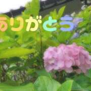ヒメ日記 2025/06/23 10:37 投稿 湧井ゆかり プレジデントハウス