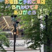 ヒメ日記 2025/06/26 08:57 投稿 湧井ゆかり プレジデントハウス