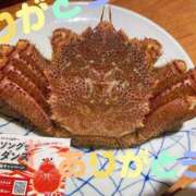 ヒメ日記 2025/06/29 16:33 投稿 湧井ゆかり プレジデントハウス