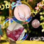 ヒメ日記 2025/07/17 10:38 投稿 湧井ゆかり プレジデントハウス