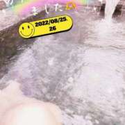 ヒメ日記 2025/08/27 08:30 投稿 湧井ゆかり プレジデントハウス