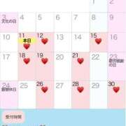 ヒメ日記 2025/11/11 10:51 投稿 湧井ゆかり プレジデントハウス