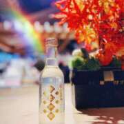 ヒメ日記 2025/11/16 10:57 投稿 湧井ゆかり プレジデントハウス