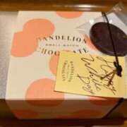 ヒメ日記 2026/02/28 21:39 投稿 湧井ゆかり プレジデントハウス