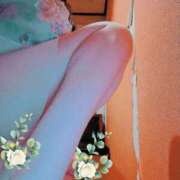 ヒメ日記 2026/03/12 10:02 投稿 湧井ゆかり プレジデントハウス