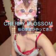 湧井ゆかり 感謝mail💌 プレジデントハウス