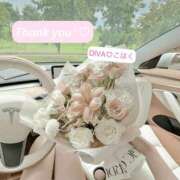 ヒメ日記 2025/06/14 11:43 投稿 こはく DIVA-ディーバ-【DIVAグループ】