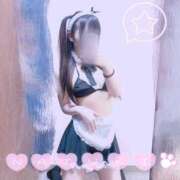 ヒメ日記 2025/03/30 21:01 投稿 なつき SPIN(スピン)