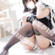 なつき 残りわずか…2️⃣0️⃣2️⃣5️⃣ SPIN(スピン)