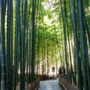 ヒメ日記 2025/03/09 06:48 投稿 かほ 性腺熟女100％鶯谷（デリヘル市場）