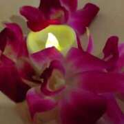 ヒメ日記 2025/03/22 07:24 投稿 かほ 性腺熟女100％鶯谷（デリヘル市場）