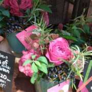 ヒメ日記 2025/06/29 08:53 投稿 かほ 性腺熟女100％鶯谷（デリヘル市場）