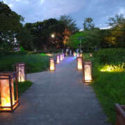 ヒメ日記 2025/09/08 09:38 投稿 かほ 性腺熟女100％鶯谷（デリヘル市場）