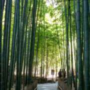 ヒメ日記 2025/11/09 12:18 投稿 かほ 性腺熟女100％鶯谷（デリヘル市場）