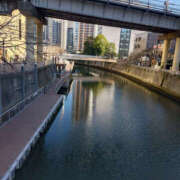 ヒメ日記 2026/01/11 08:59 投稿 かほ 性腺熟女100％鶯谷（デリヘル市場）