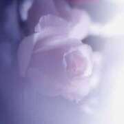 ヒメ日記 2025/01/18 22:12 投稿 あつこ 性腺熟女100％鶯谷（デリヘル市場）