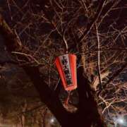 ヒメ日記 2025/03/14 23:47 投稿 あつこ 性腺熟女100％鶯谷（デリヘル市場）