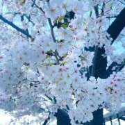 ヒメ日記 2025/04/04 23:18 投稿 あつこ 性腺熟女100％鶯谷（デリヘル市場）